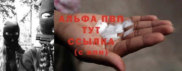 прущий лед Богданович