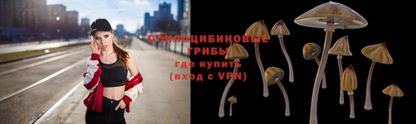 амфетамин Богородск