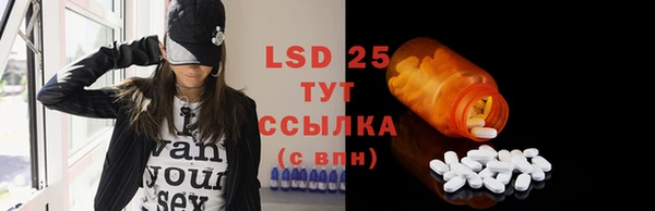 прущий лед Богданович