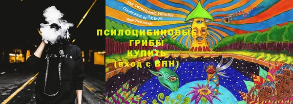 метадон Богородицк