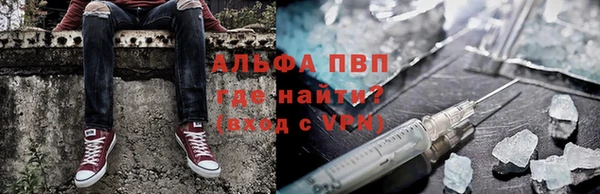 прущий лед Богданович
