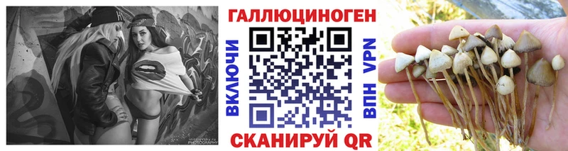 Галлюциногенные грибы мухоморы  гидра зеркало  мориарти как зайти  Мегион 